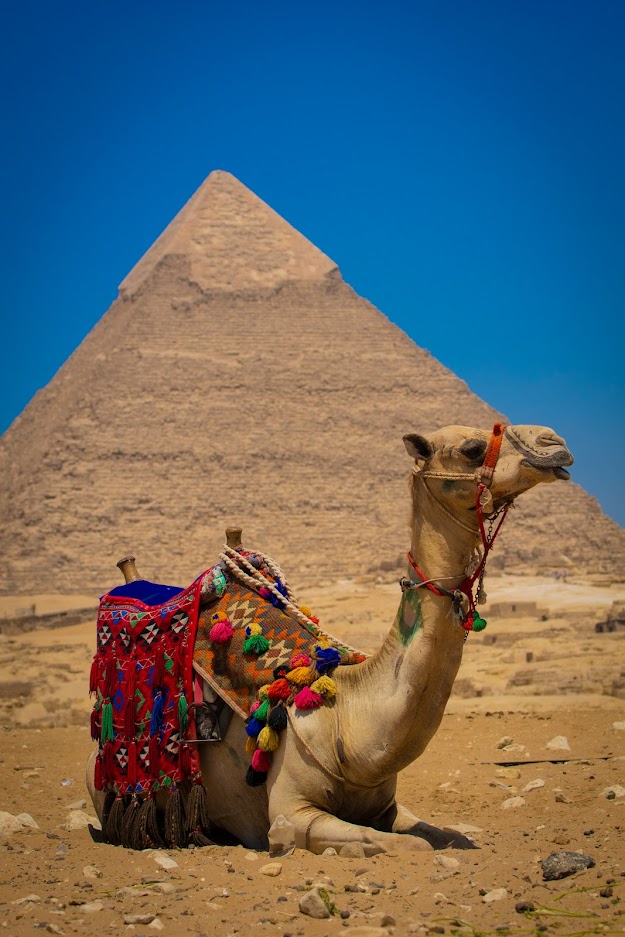 Diario de Egipto (1): Pirámides y esfinges