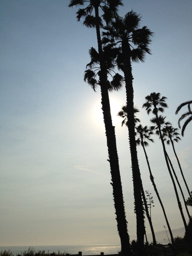 Diario de la Costa Oeste (14): Santa Mónica y Venice Beach