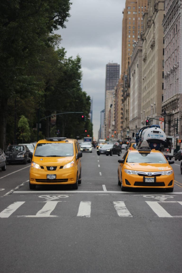 Diario de NY (4): Los patos de Central Park