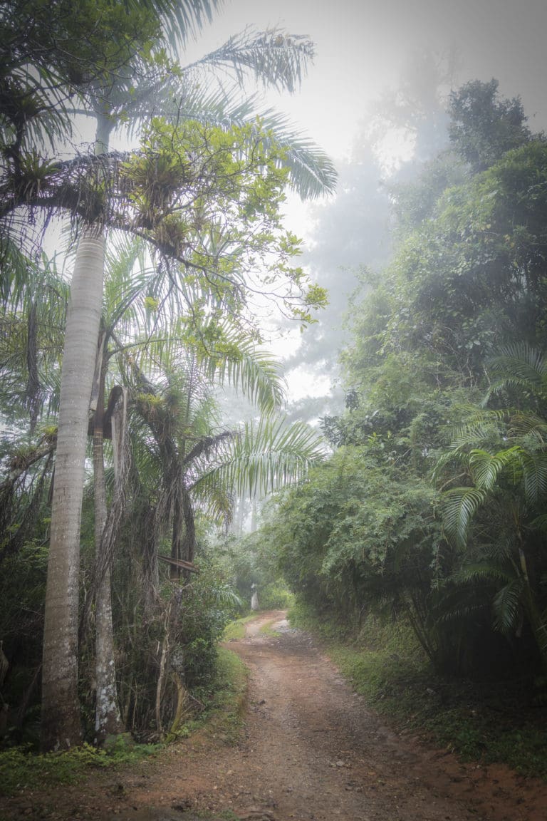 Trinidad y Tope de Collantes (6)