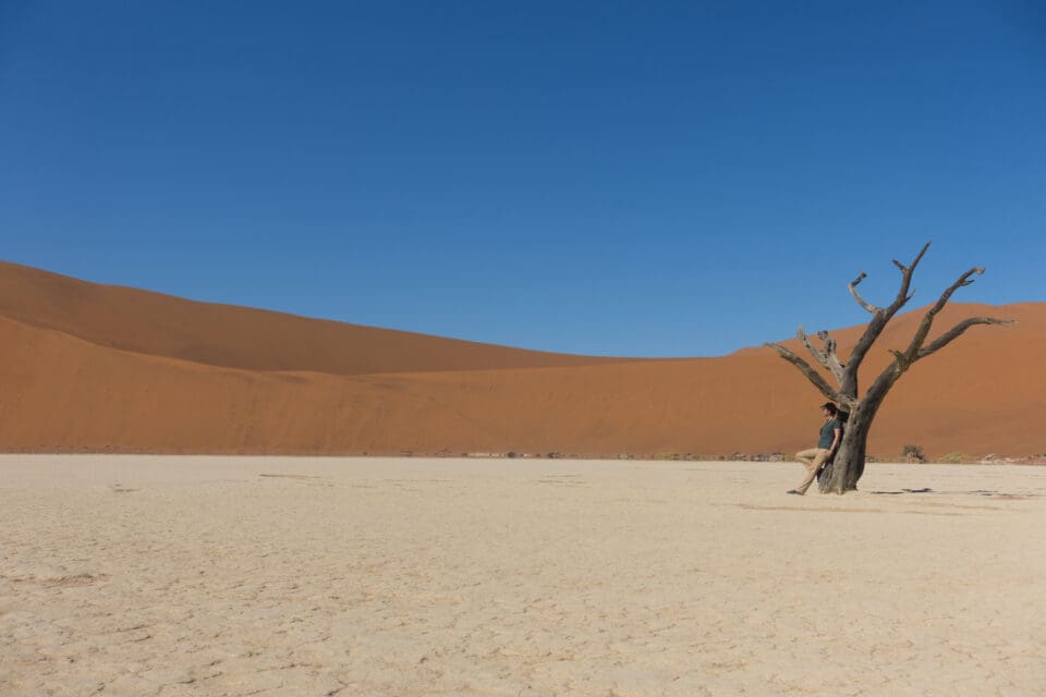 Deadvlei árboles muertos desierto del Namib