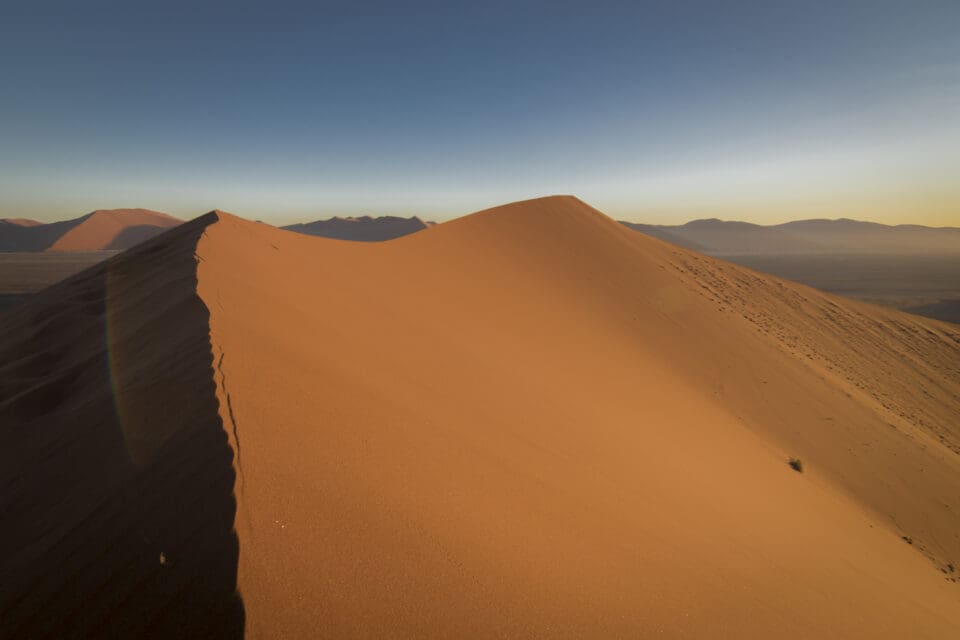 Duna Big Daddy Namibia
