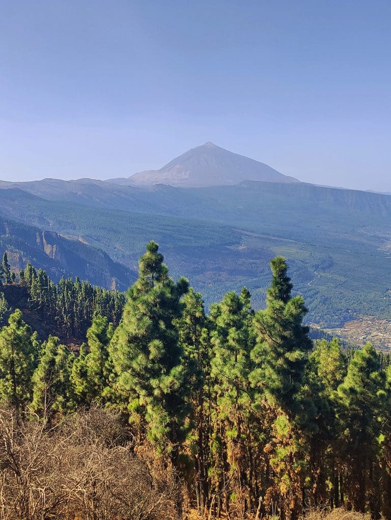 Tenerife: qué ver, dónde comer y cómo moverse por la isla