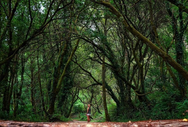 5 rutas con niños en Pontevedra (cascadas, lagos y senderos fáciles)