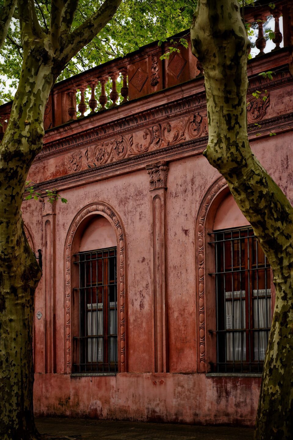 Fachada rosada de una casa colonial entre dos árboles en el casco histórico de Colonia del Sacramento