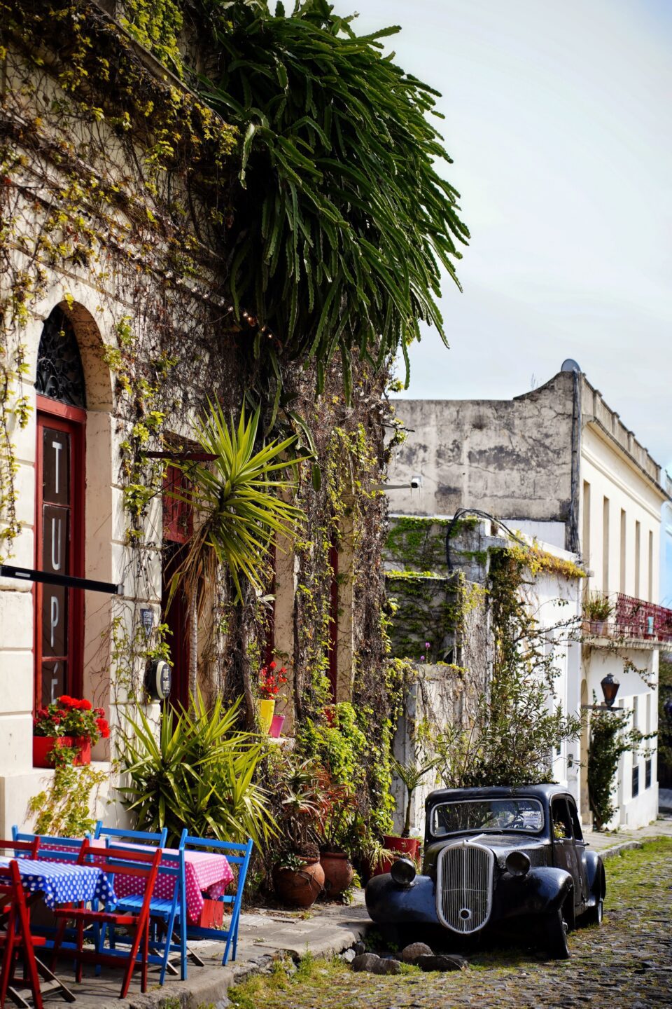Calle del barrio histórico de Colonia del Sacramento con un coche antiguo azul junto a una casa cubierta de plantas
